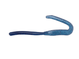 Mega Tail Worm